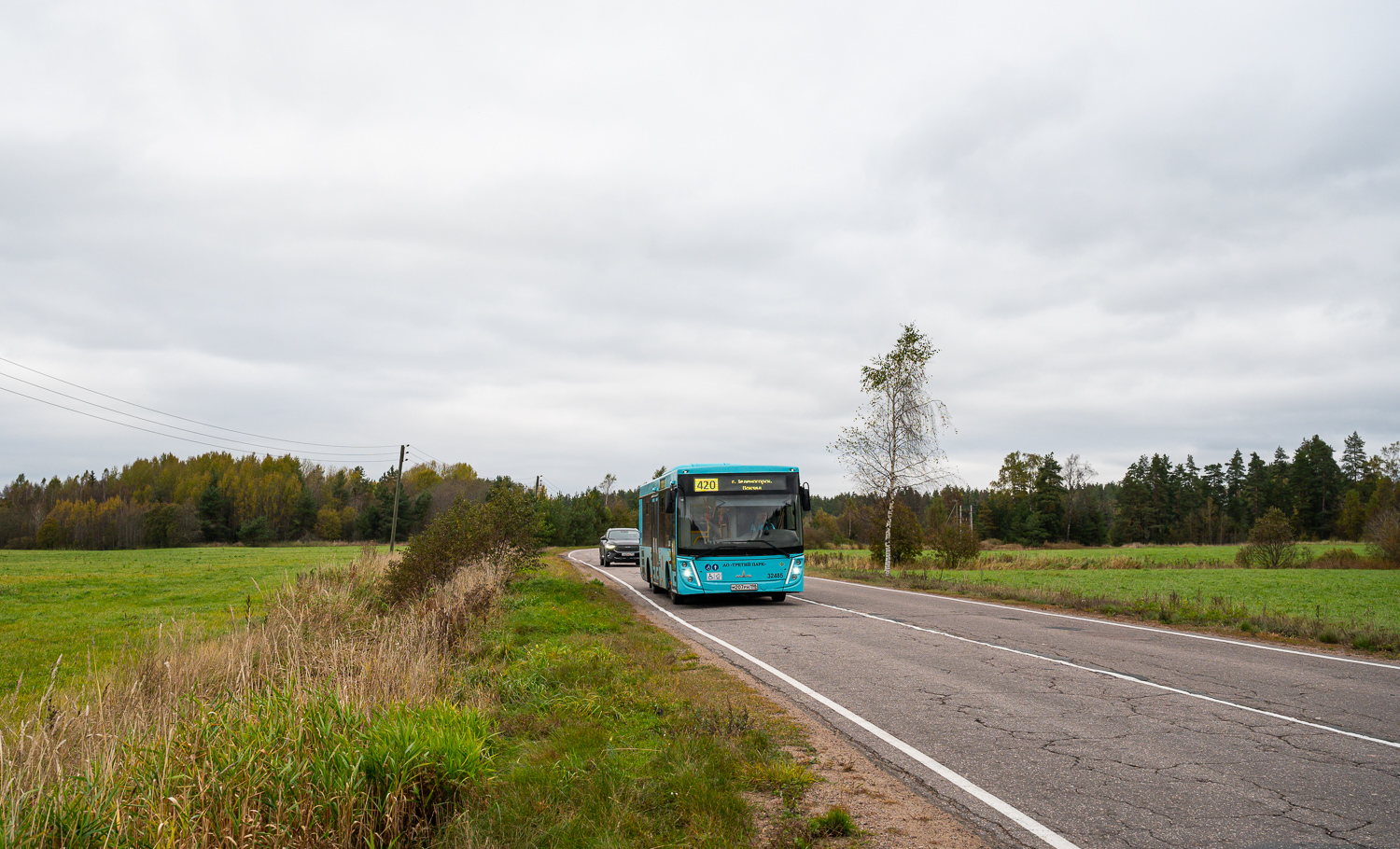 Saint Petersburg, MAZ-206.945 No. 32485