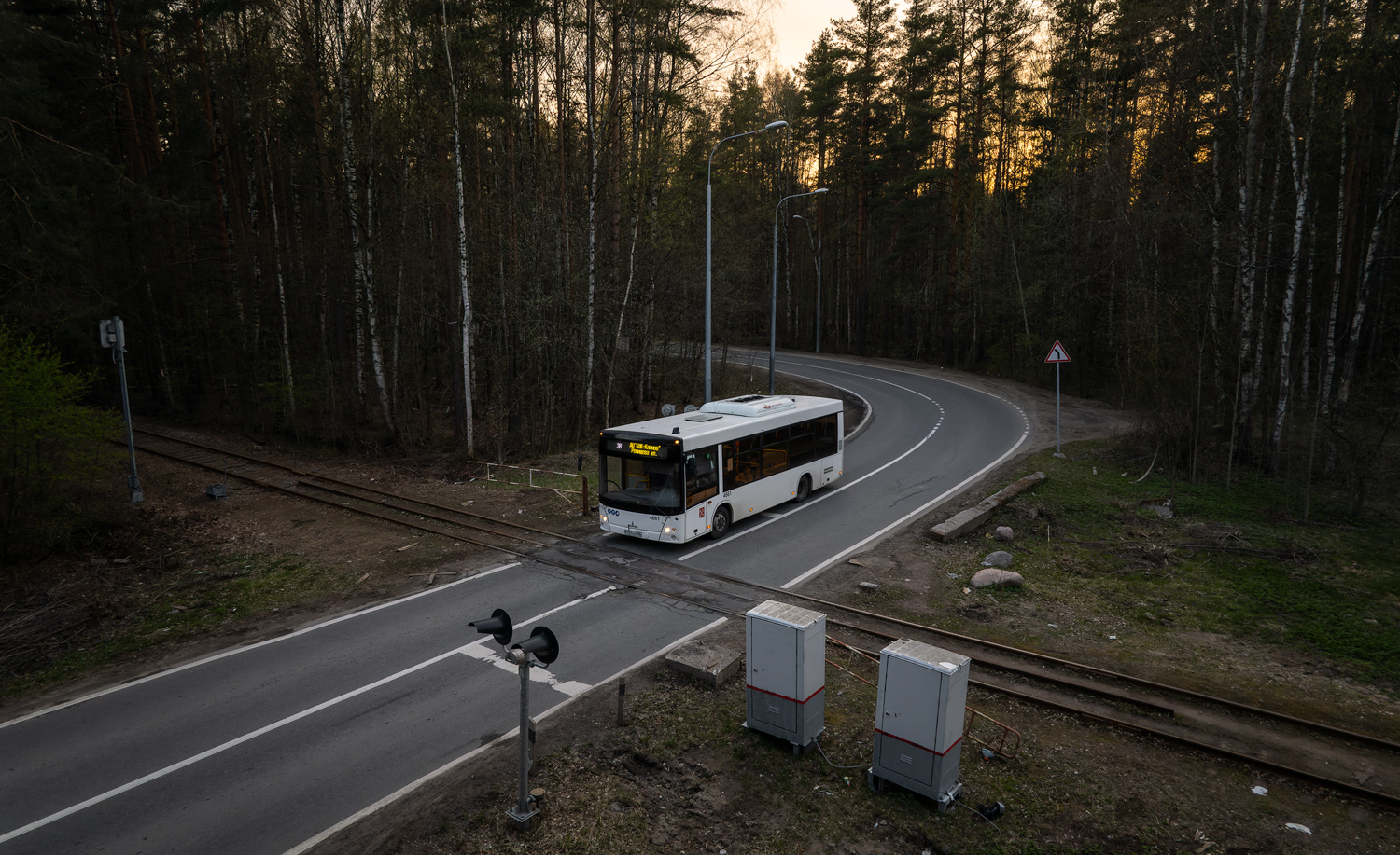Saint Petersburg, MAZ-206.086 # 4661