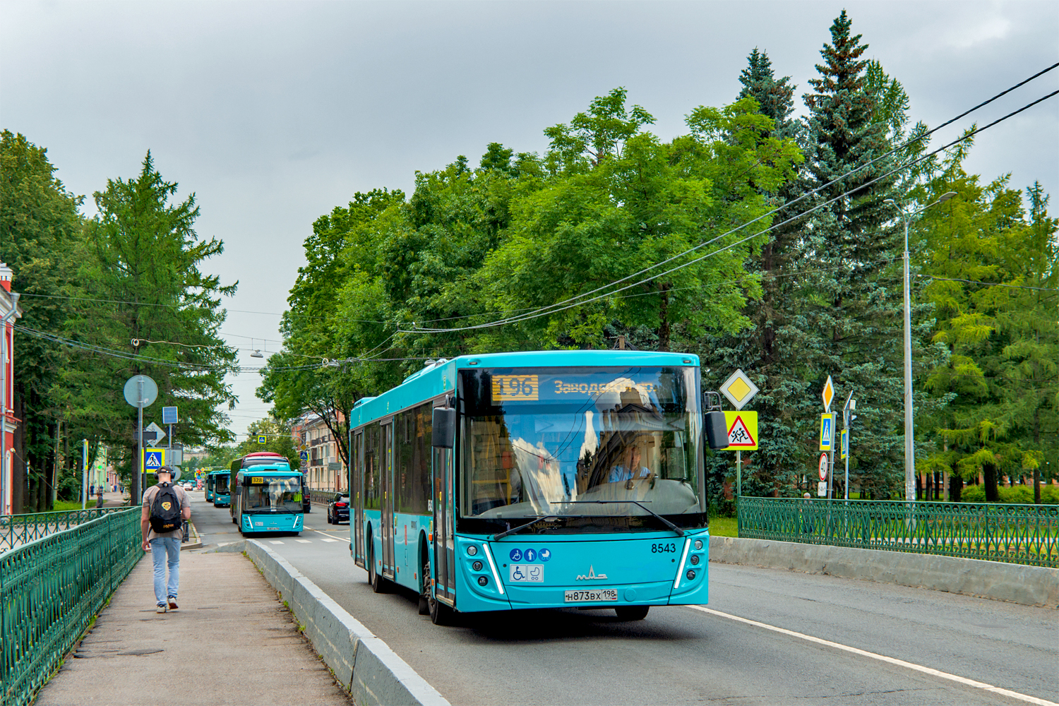 Saint Petersburg, MAZ-203.047 # 8543