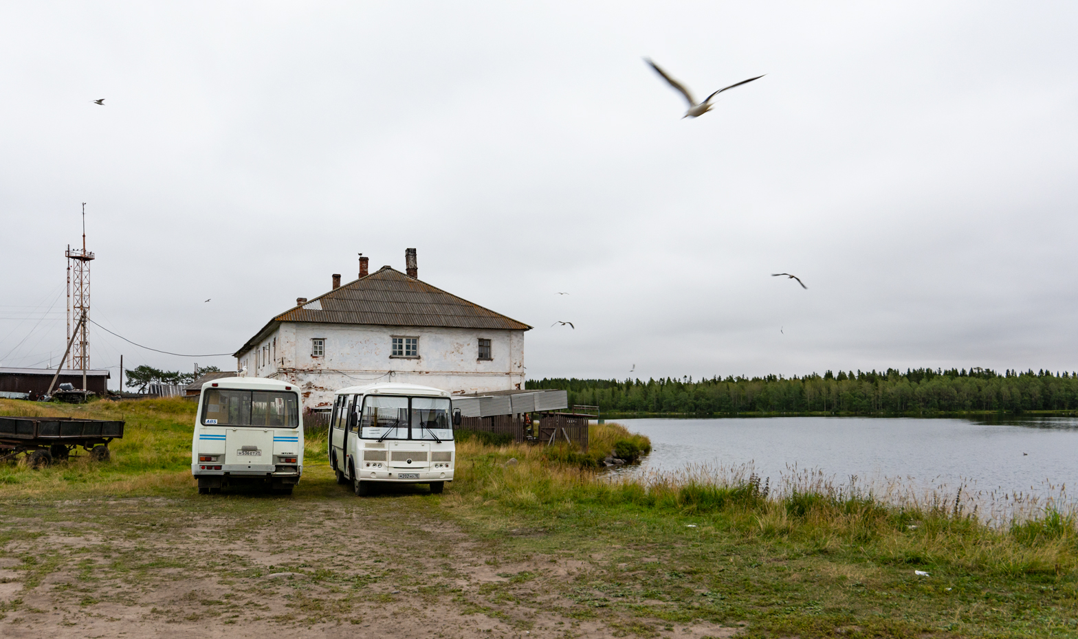 Arkhangelsk Oblast, PAZ-32053-110-07 No. Н 536 ЕТ 29; Arkhangelsk Oblast, PAZ-32054 No. М 202 НО 10