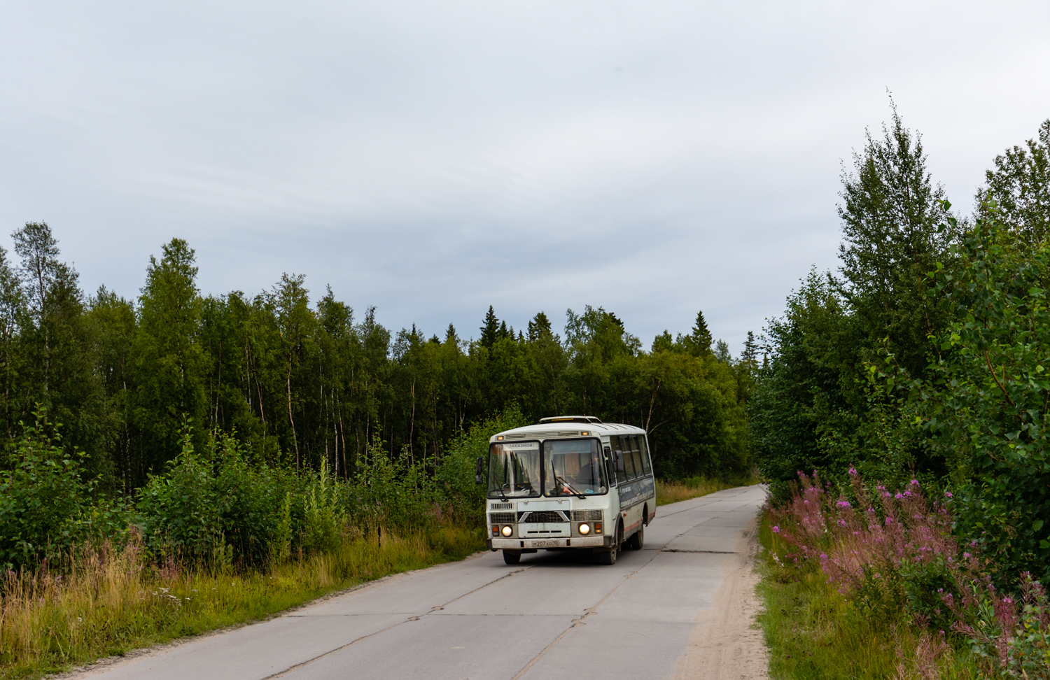Arkhangelsk Oblast, PAZ-32053 Nr. М 207 ХО 10