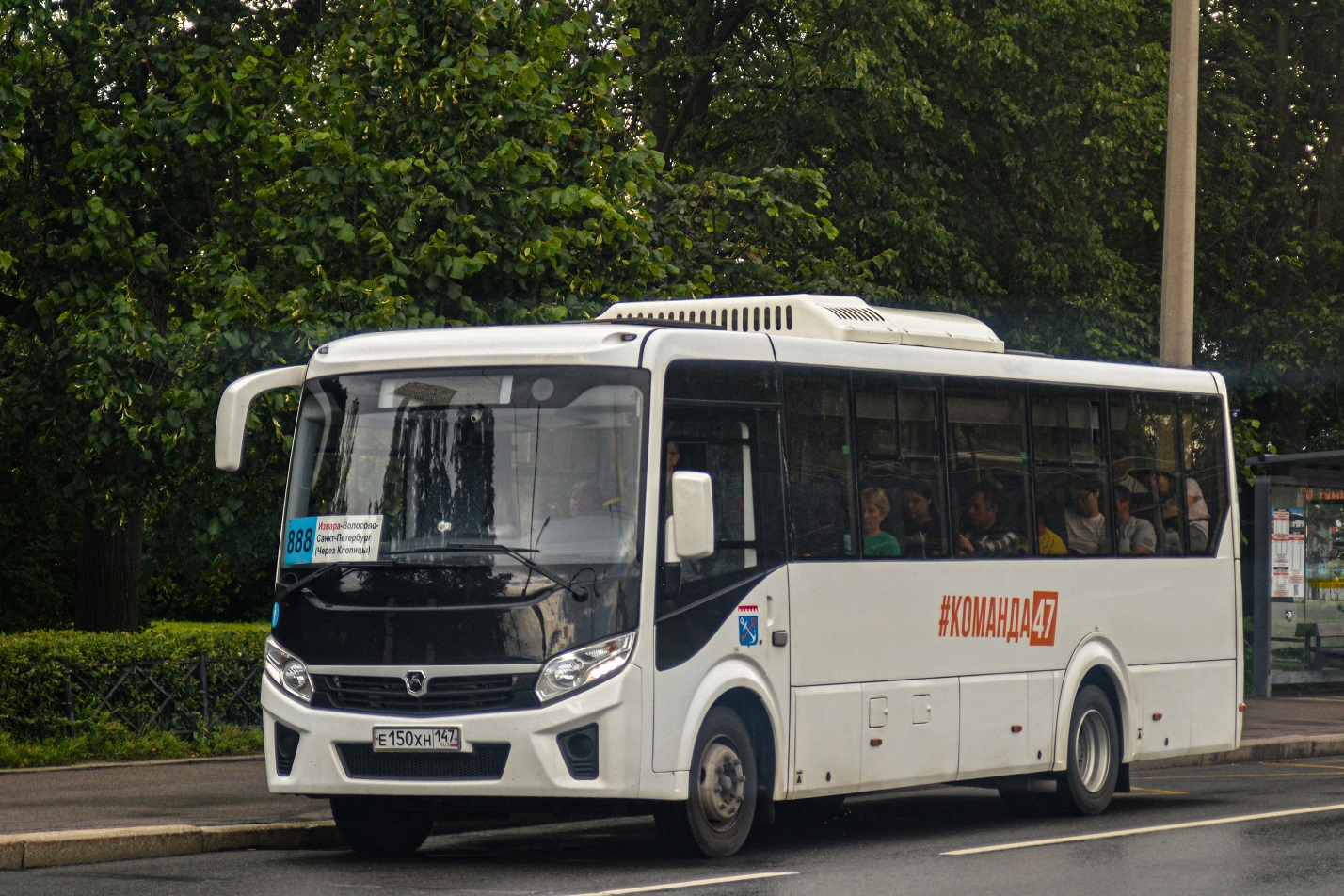 Volosovo, PAZ-320455-04 "Vector Next" # Е 150 ХН 147
