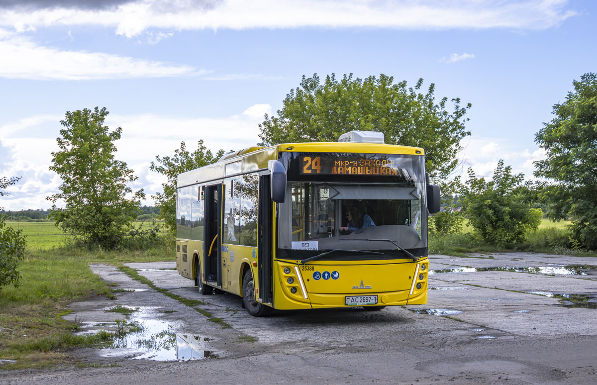 Pinsk, MAZ-206.047 # 25388
