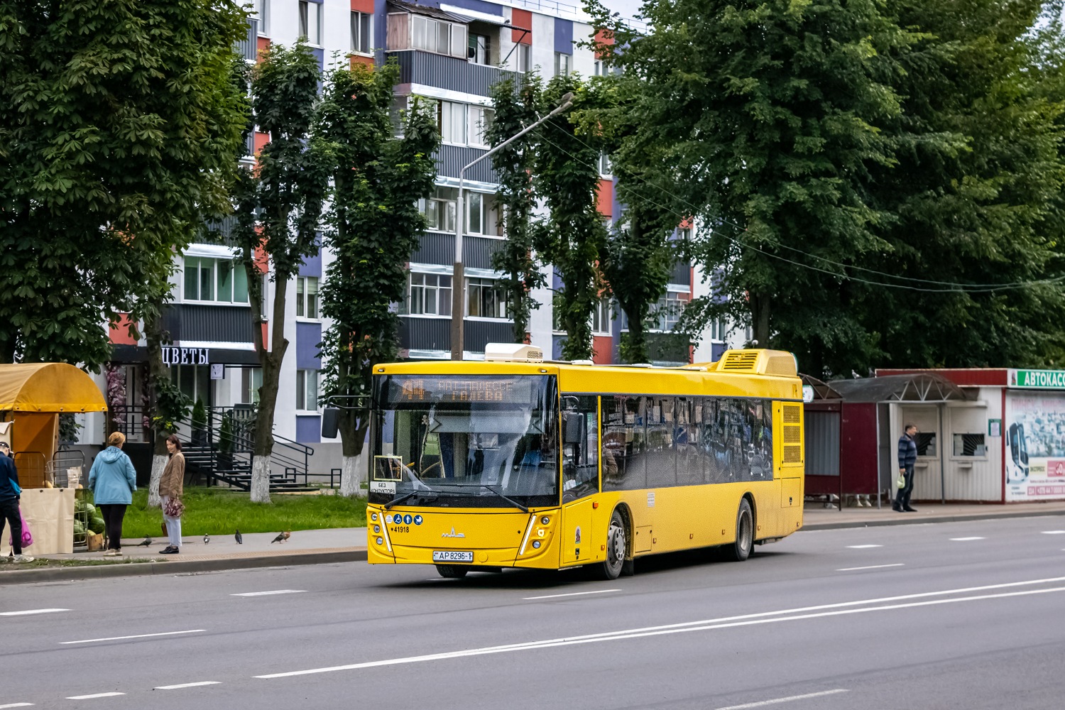 Pinsk, MAZ-203.047 # 41918