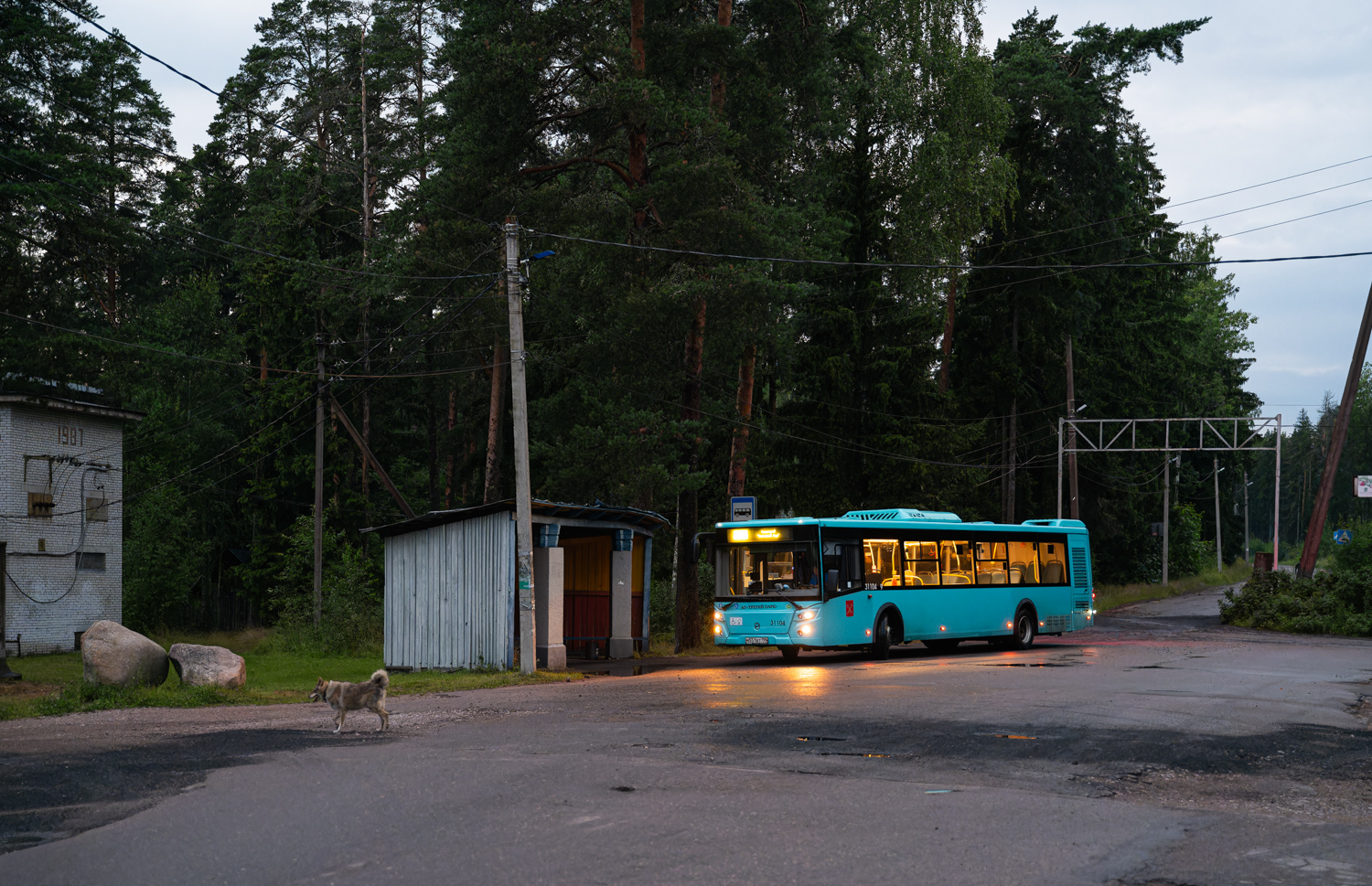 Санкт-Петербург, ЛиАЗ-5292.67 (LNG) № 31104