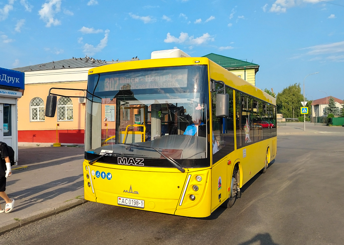 Pinsk, MAZ-206.047 # 25386
