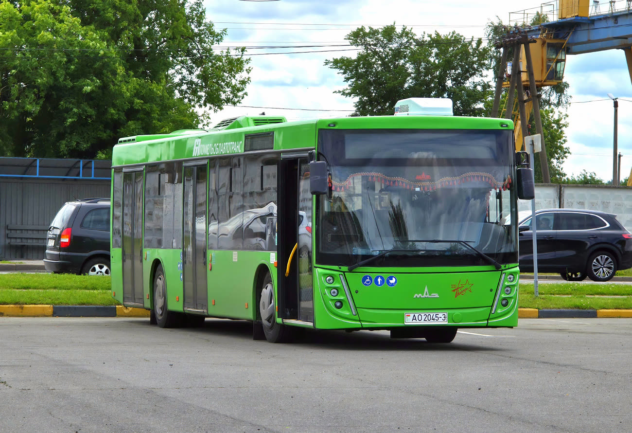 Rechyca, MAZ-203.047 # 014877