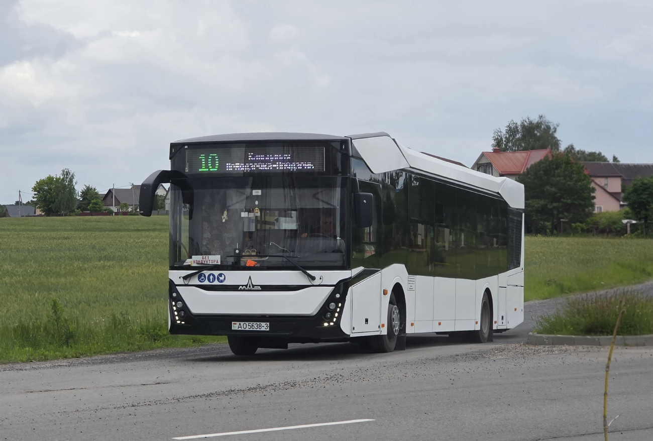 Zhlobin, MAZ-303.047 # 20915