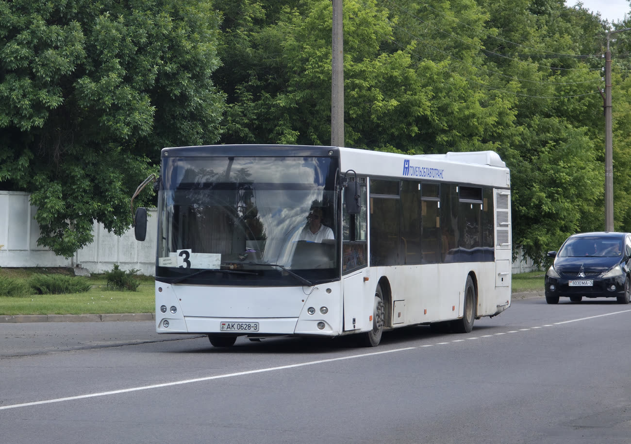 Rechyca, MAZ-203.065 # 014052