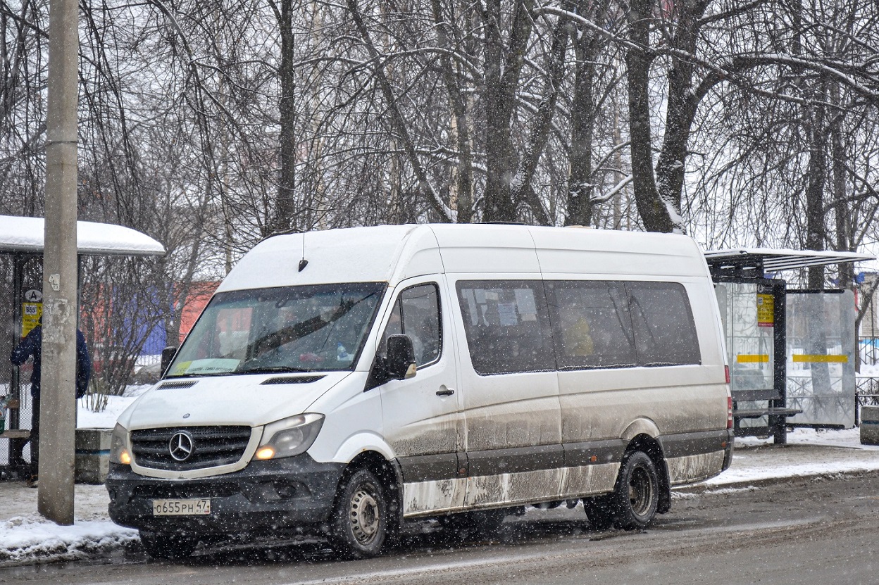 Волосово, Луидор-22360C (MB Sprinter) № О 655 РН 47
