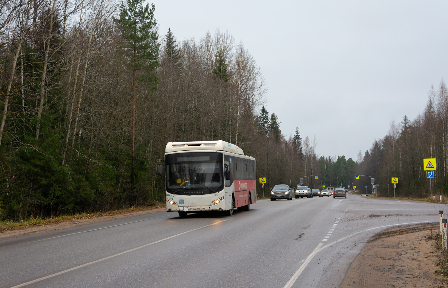 Leningrad Oblast, Volgabus-5285.G2 # 4563
