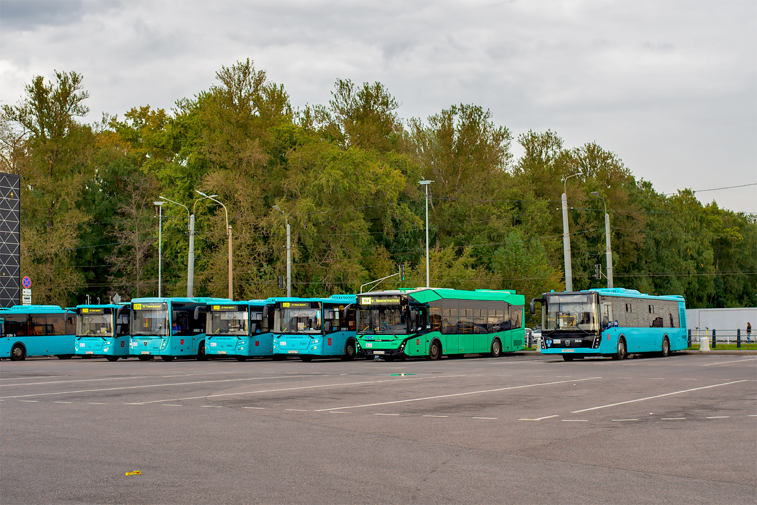 Saint Petersburg, MAZ-303.E23 # 2642; Saint Petersburg, LiAZ-5292.65 # 2836