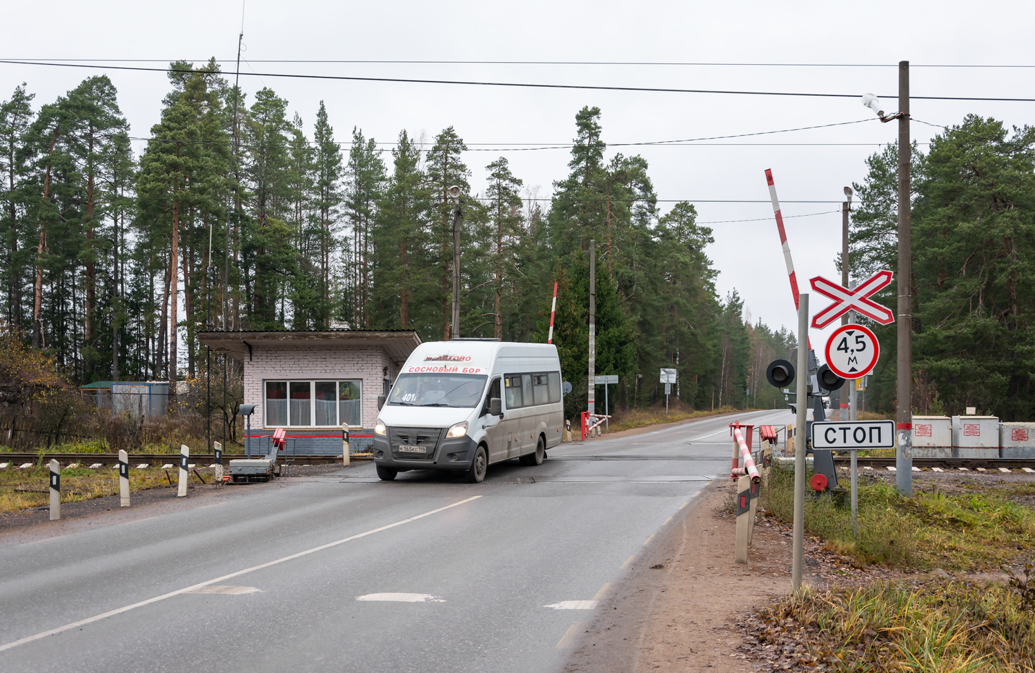 Sosnovy Bor, GAZ-A65R52 Next # К 165 КС 198
