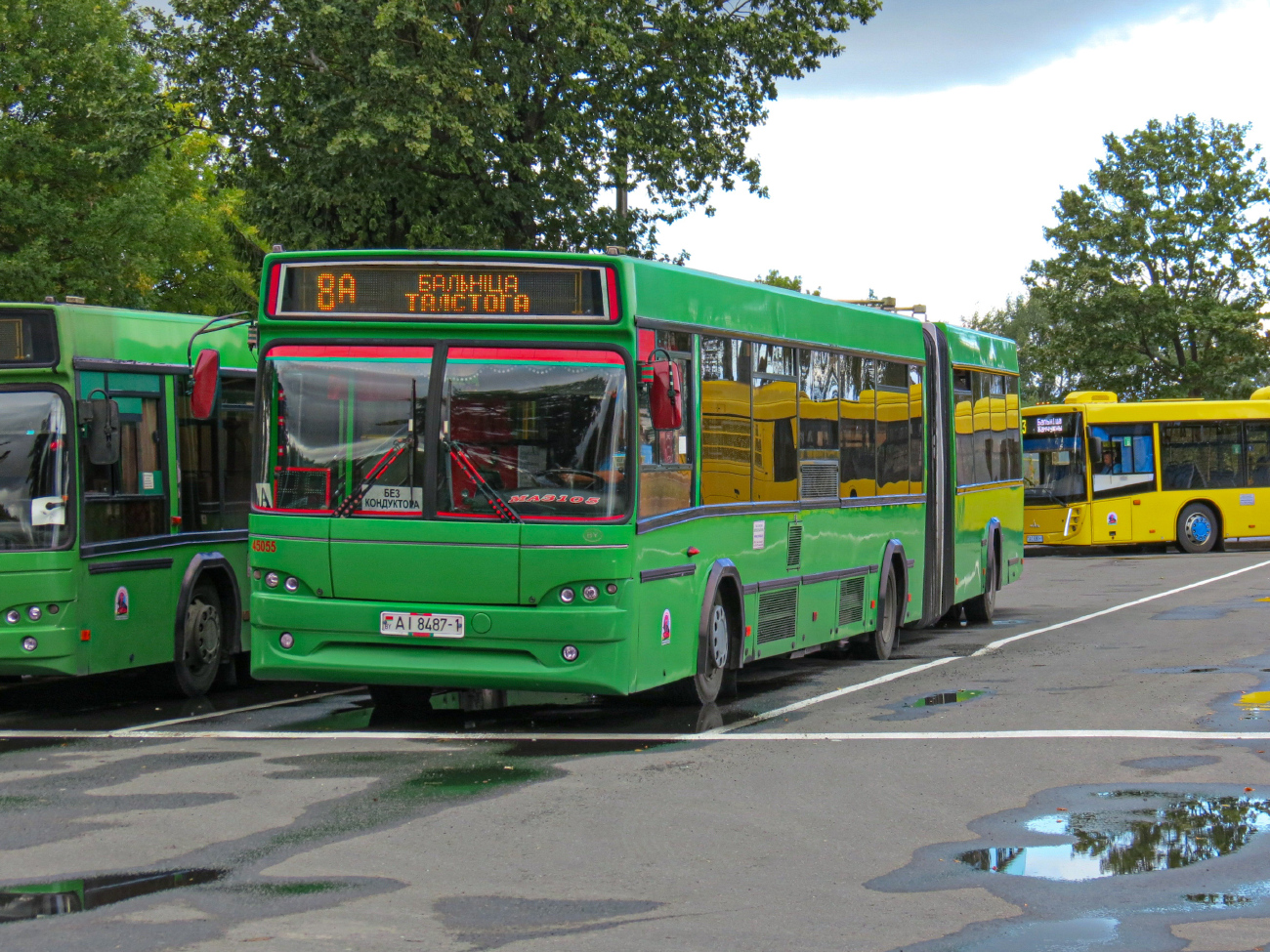 Pinsk, MAZ-105.465 # 45055