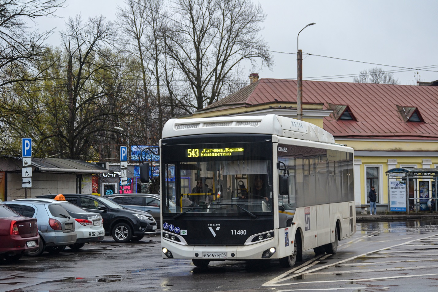 Gatchina, Volgabus-4298.G4 (CNG) # 11480