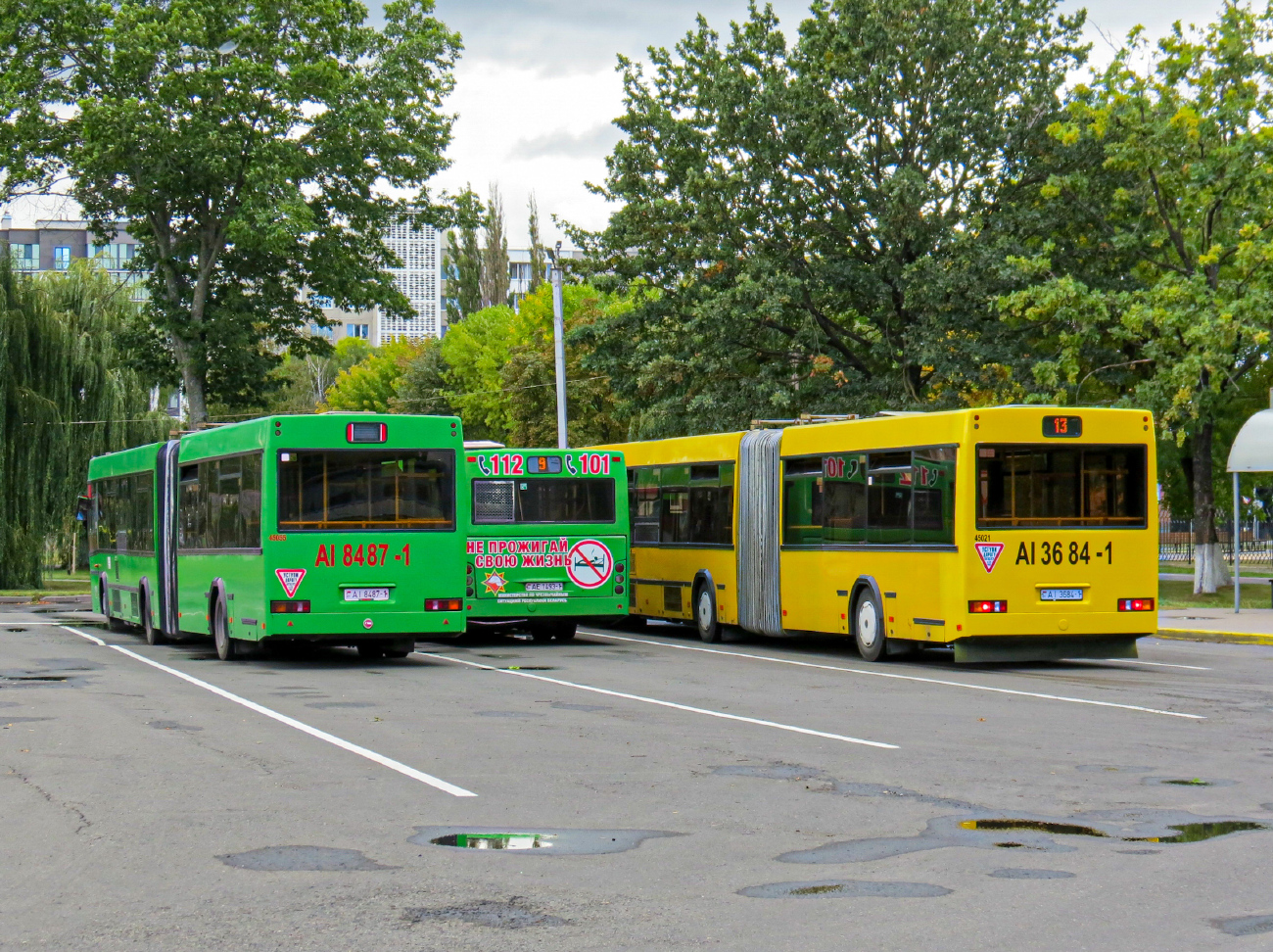 Pinsk, MAZ-105.465 # 45055