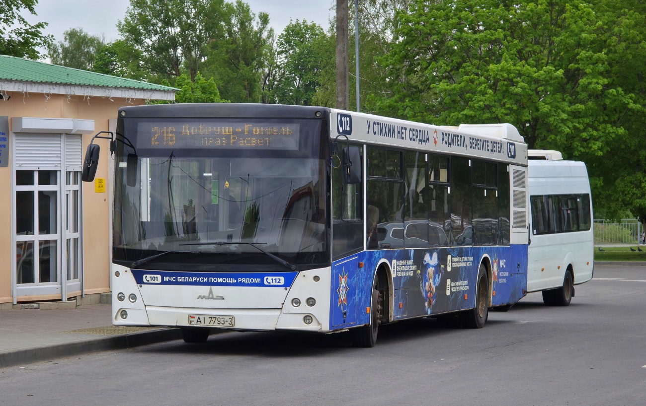 Добруш, МАЗ-203.067 № 26001