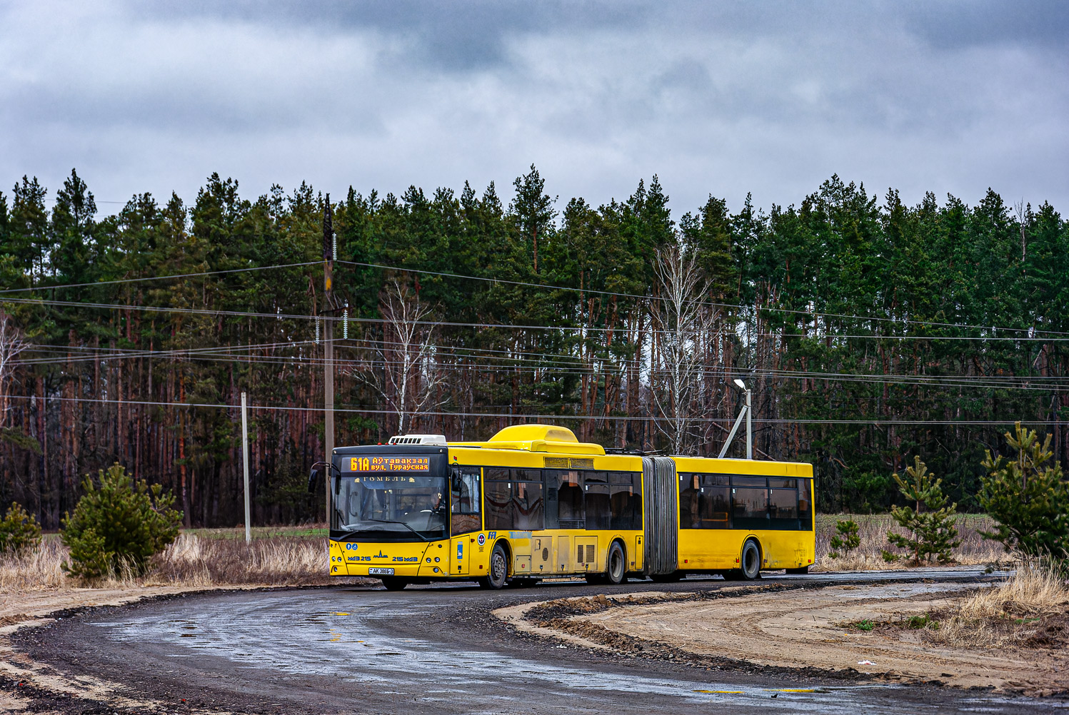 Gomiel, MAZ-215.169 # 036919