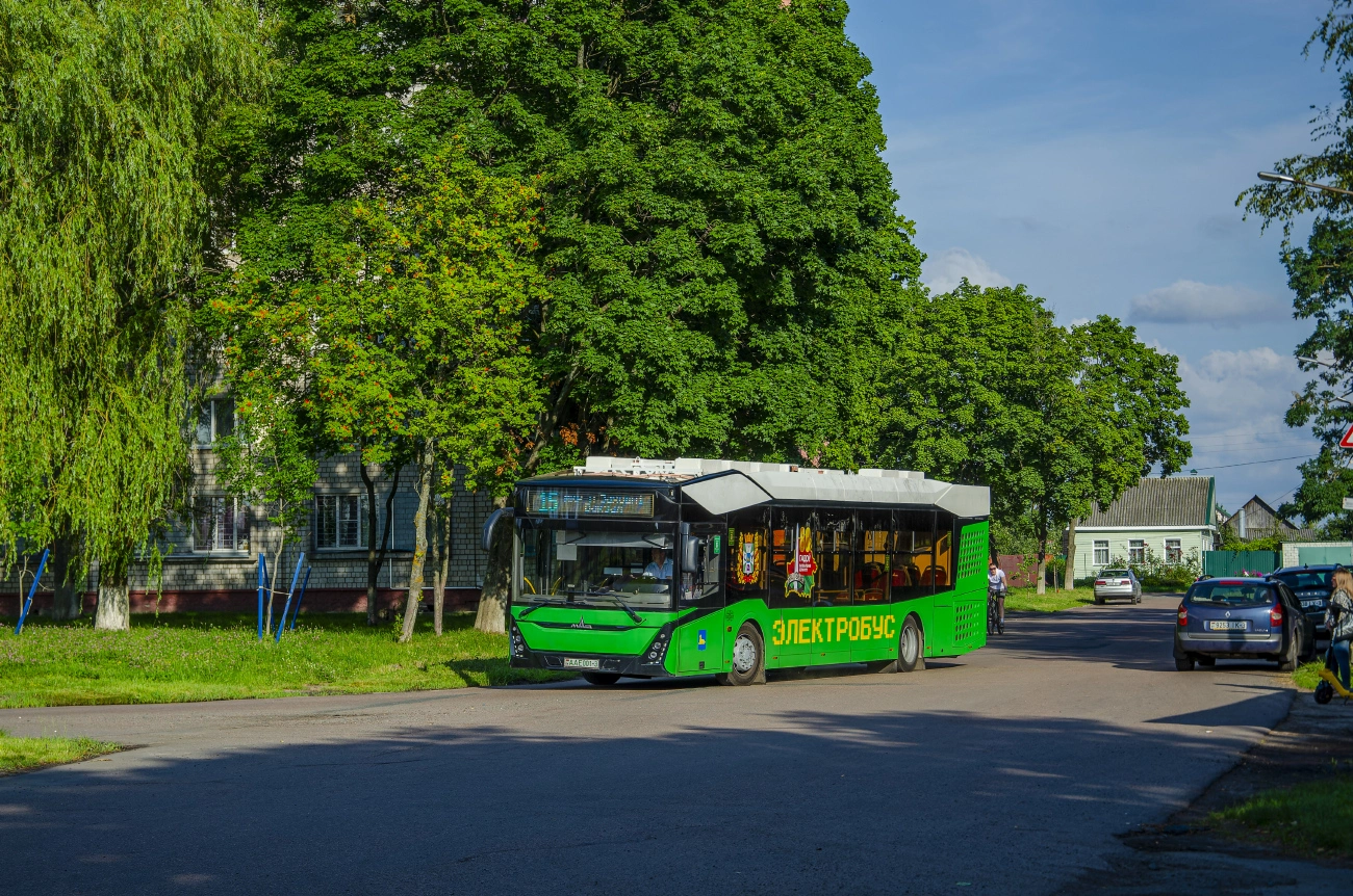 Gomiel, MAZ-303.E10 Nr. 26451