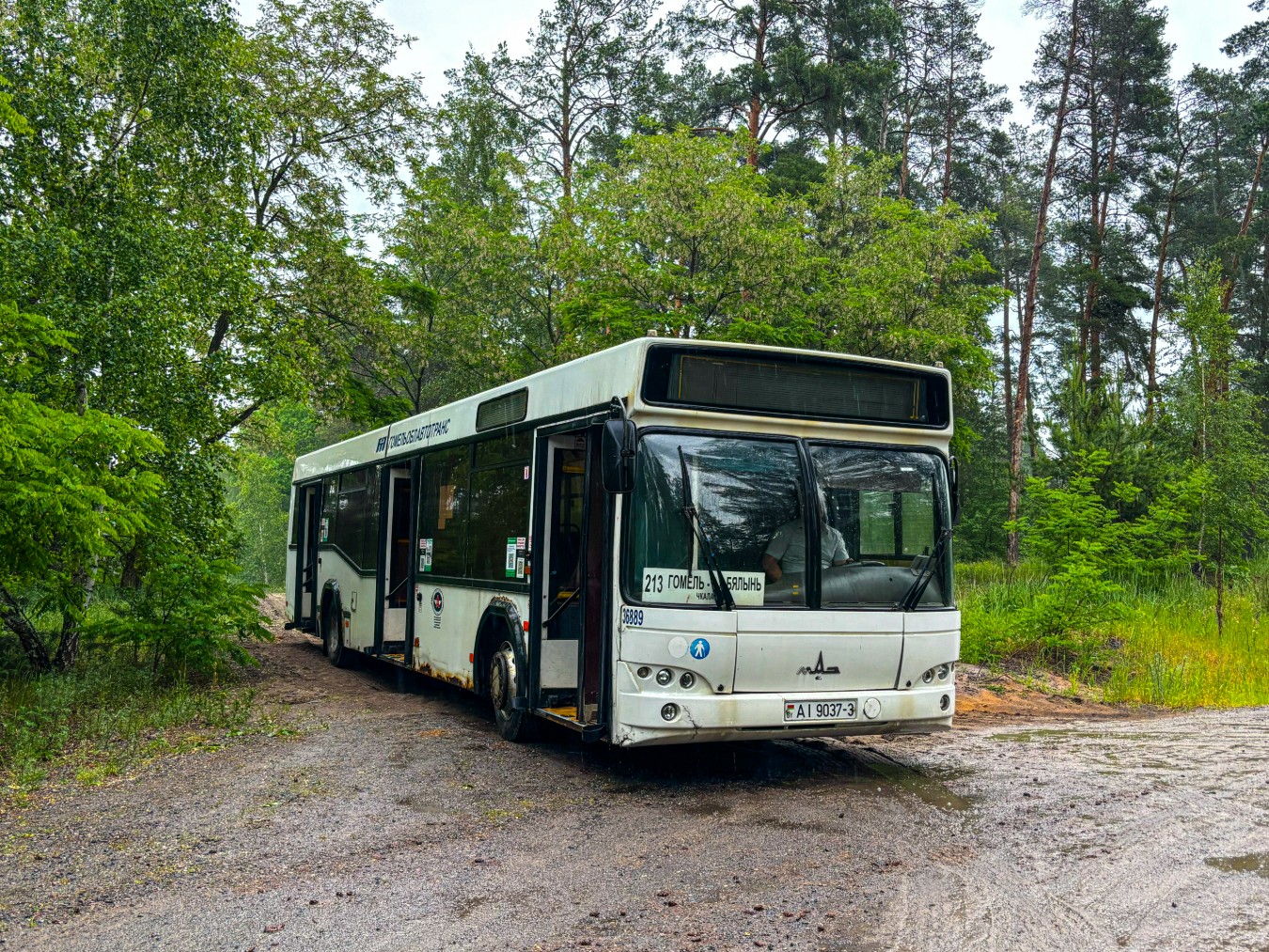 Gomiel, MAZ-103.462 # 036889