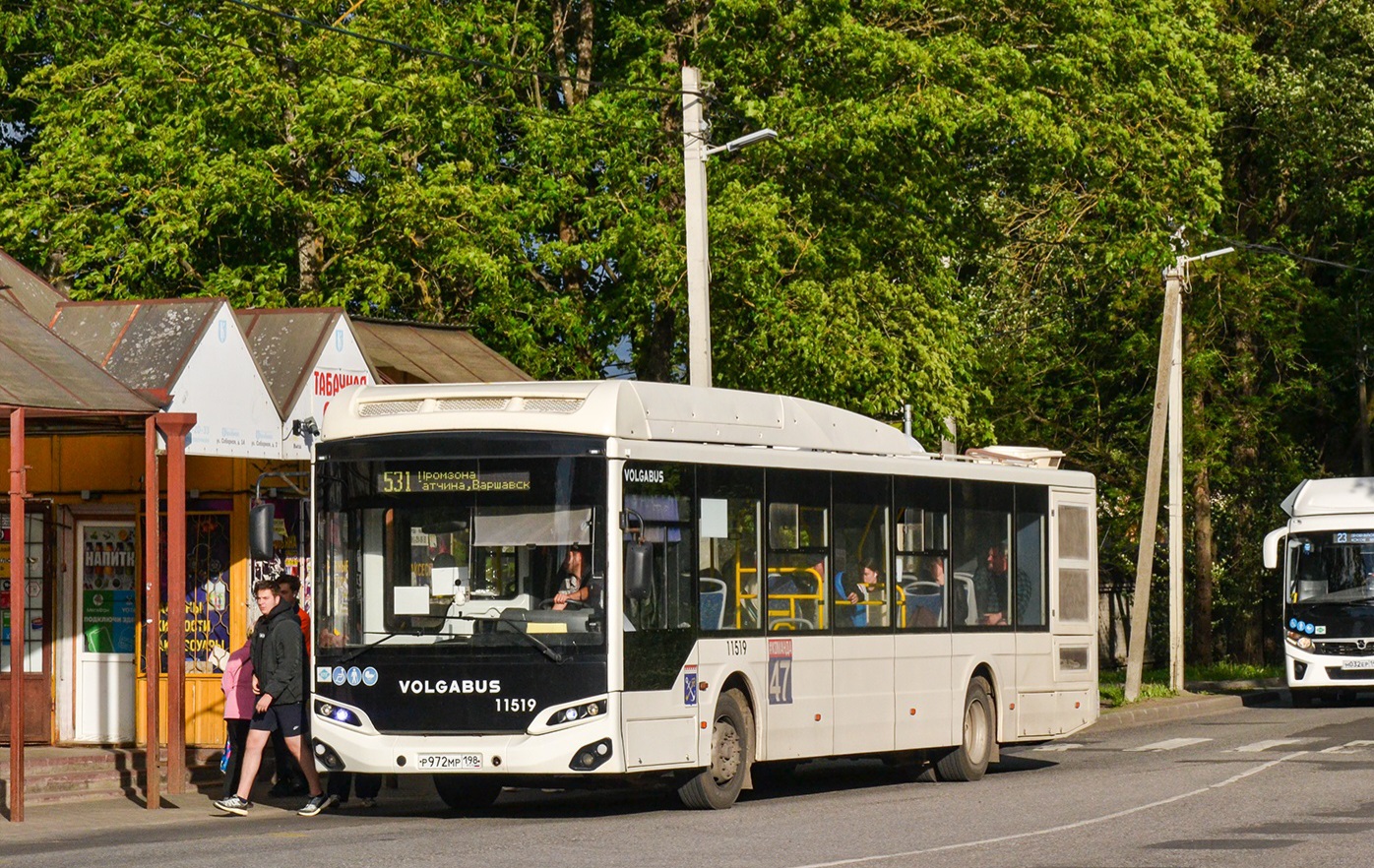 Gatchina, Volgabus-5270.G4 (CNG) # 11519