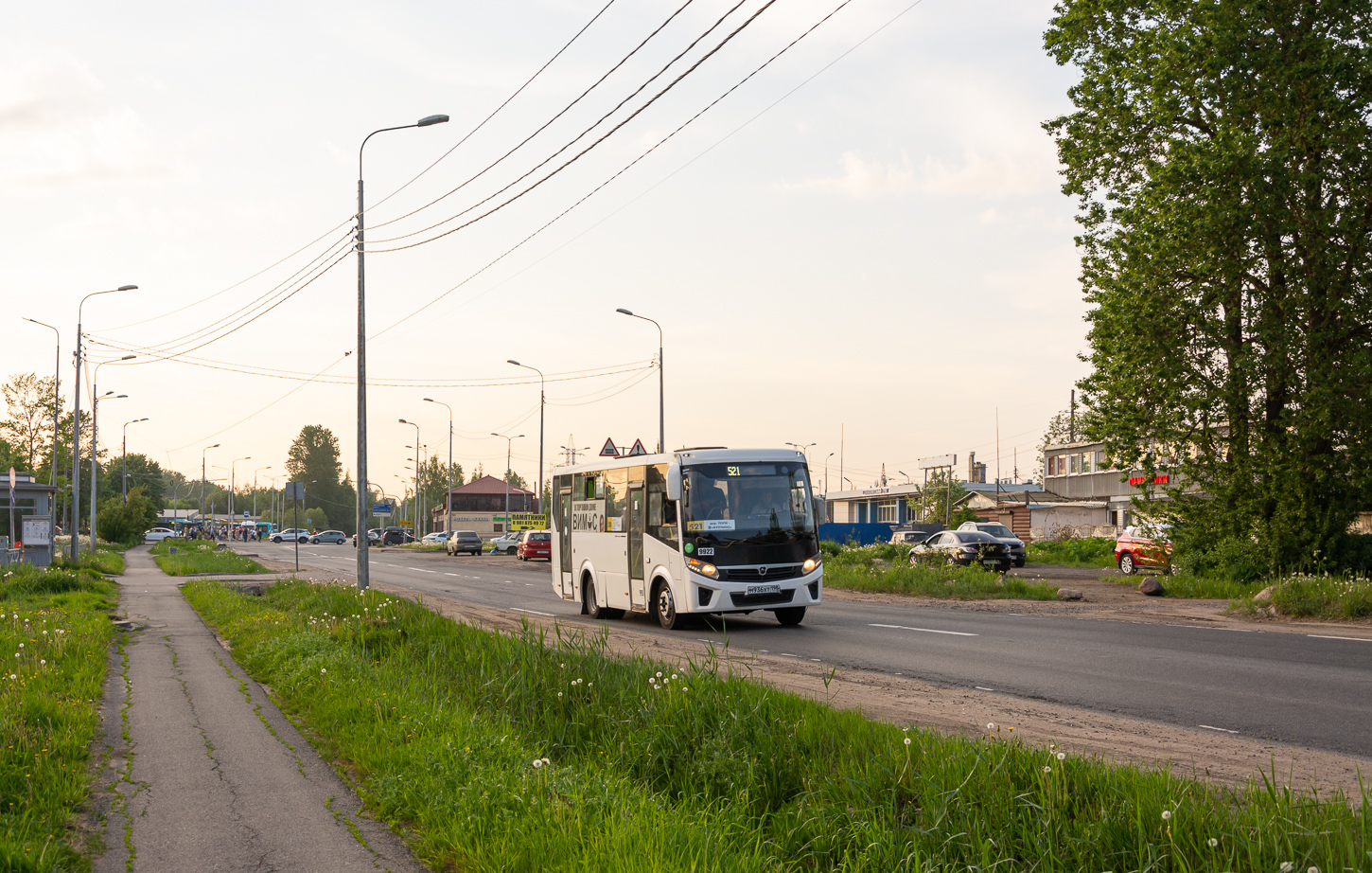 Tosno, PAZ-320405-04 "Vector Next" # 9922