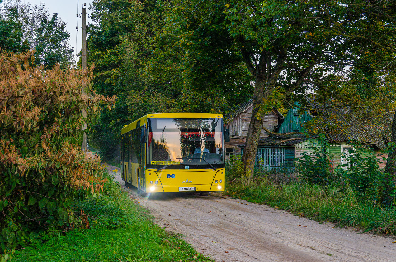Baranavichy, MAZ-203.016 # 10990