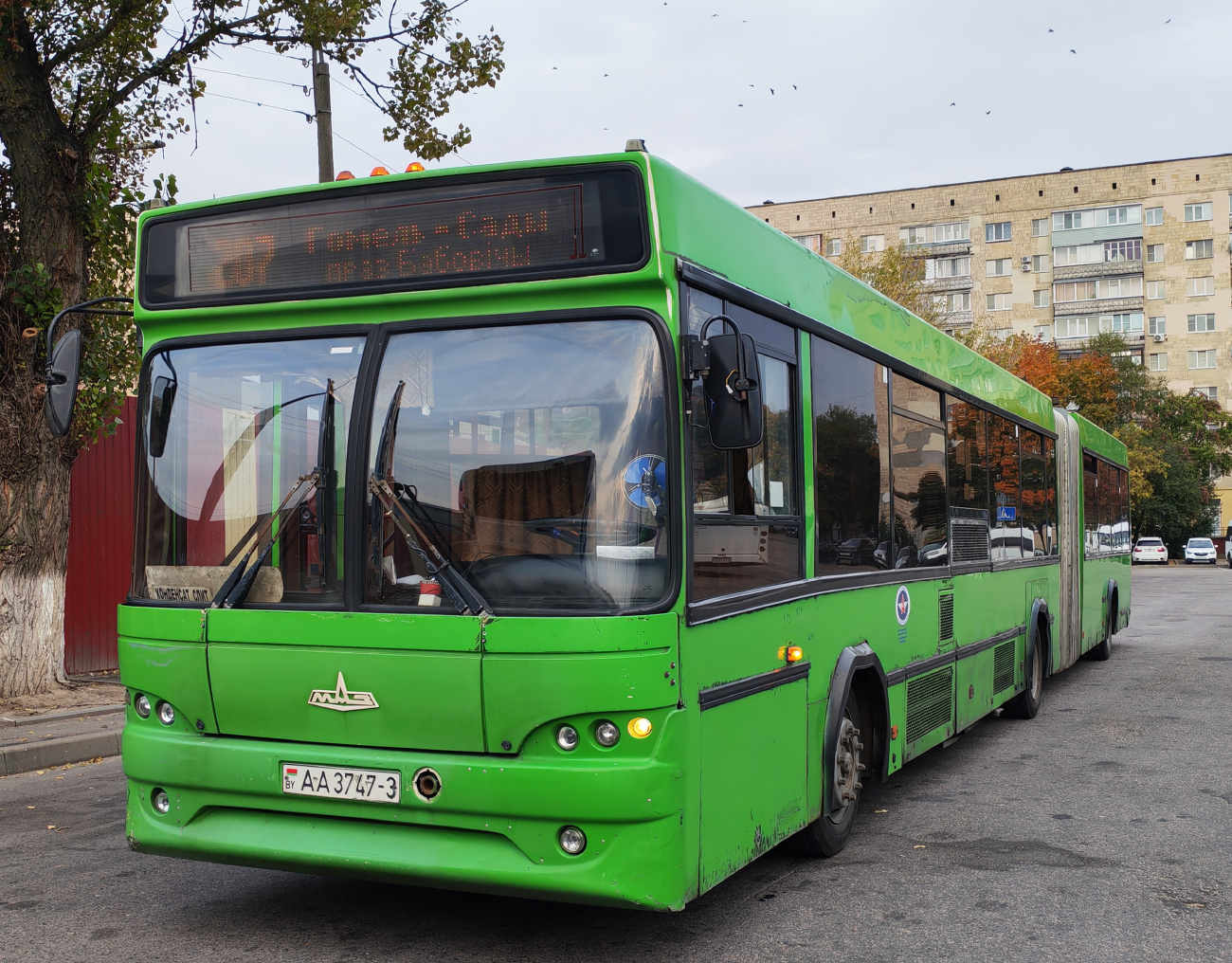 Gomiel, MAZ-105.465 No. 036651