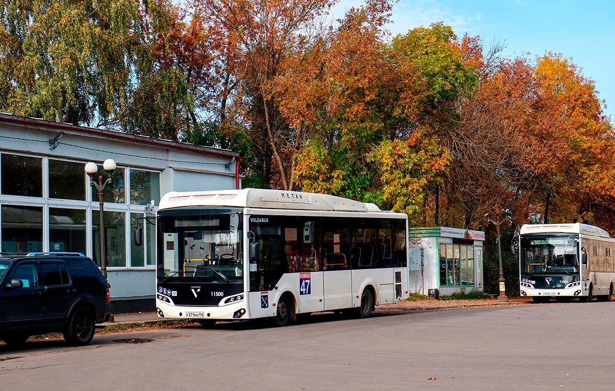 Leningrad Oblast, Volgabus-4298.G4 (CNG) No. 11500