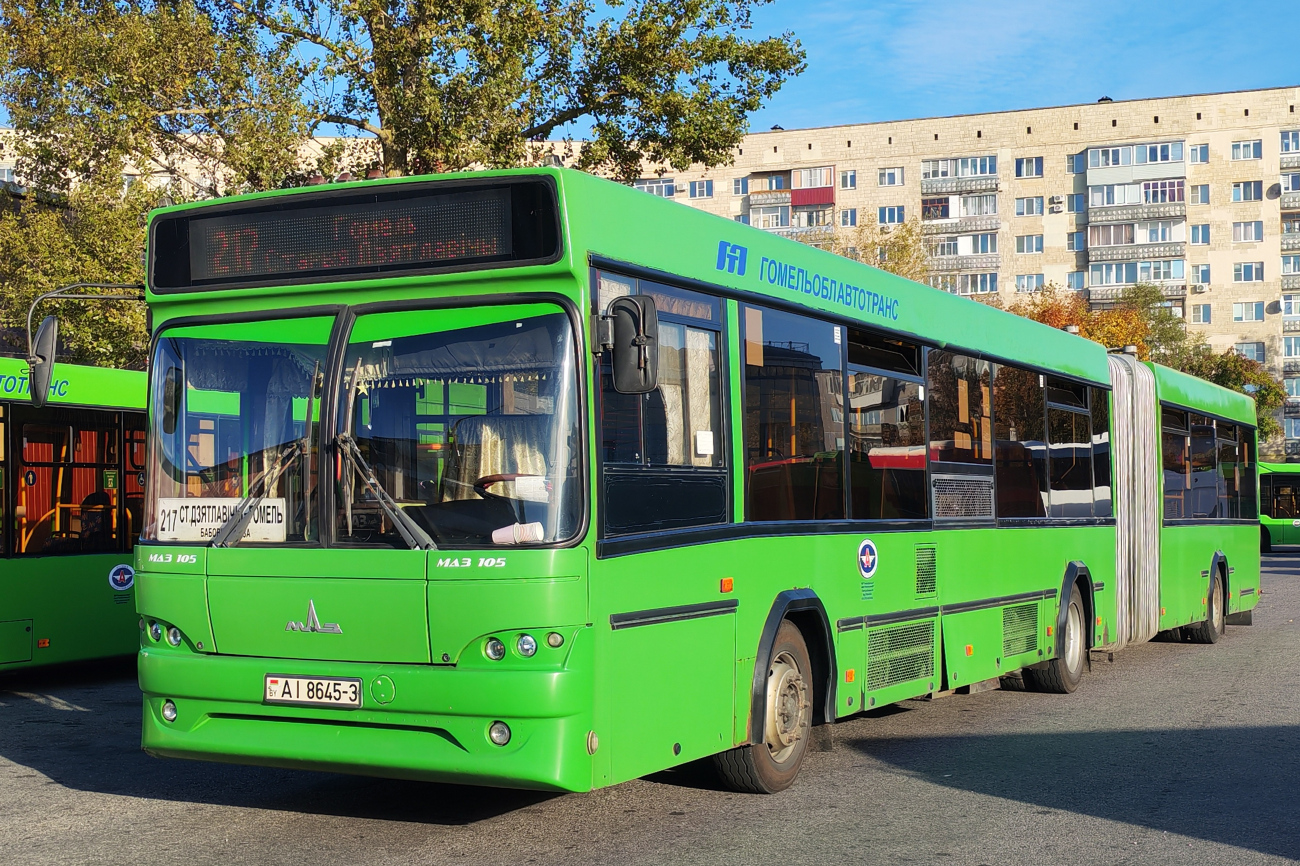 Gomiel, MAZ-105.465 # 036846